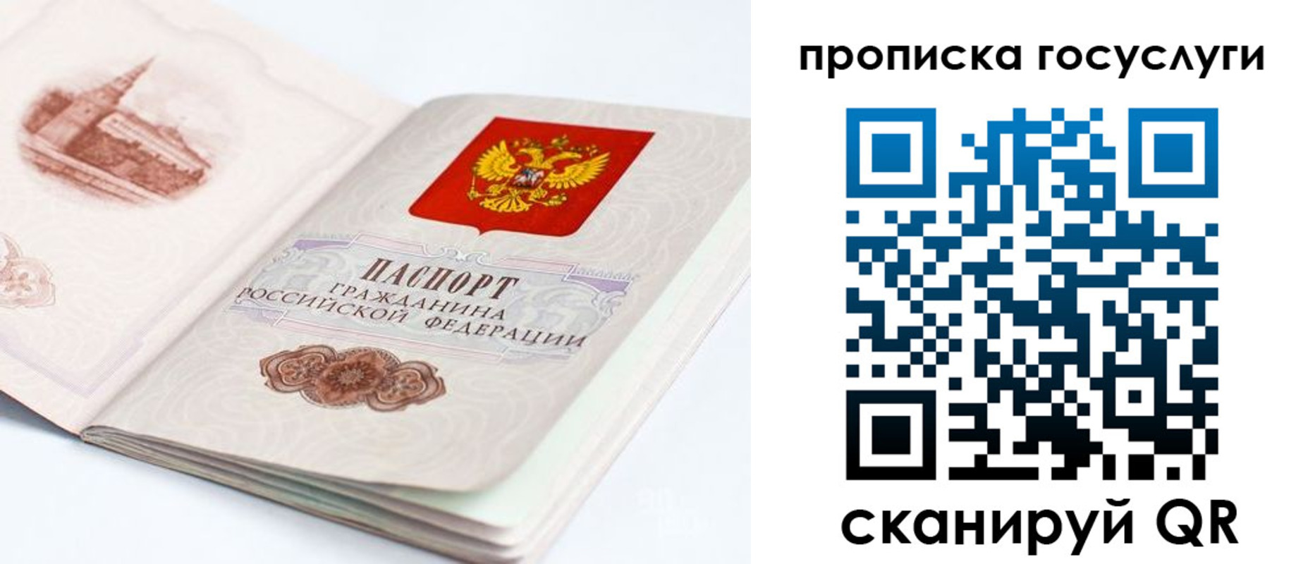 временная регистрация в Судогде